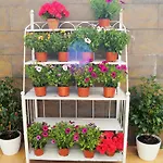 Apartament Mi Patio Torrevieja