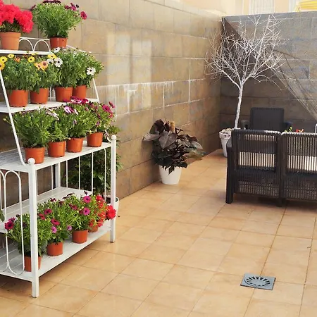 Mi Patio *