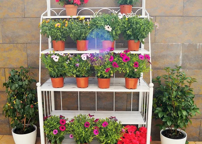 Lägenhet Mi Patio Torrevieja