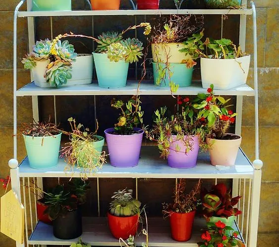 Lägenhet Mi Patio Torrevieja