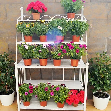 Apartament Mi Patio Torrevieja